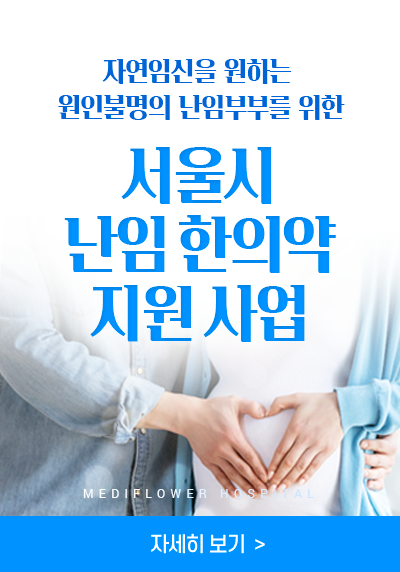 서울시 난임지원